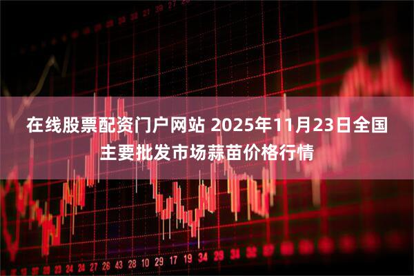 在线股票配资门户网站 2025年11月23日全国主要批发市场蒜苗价格行情